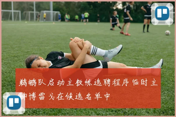 鹈鹕队启动主教练选聘程序临时主帅博雷戈在候选名单中